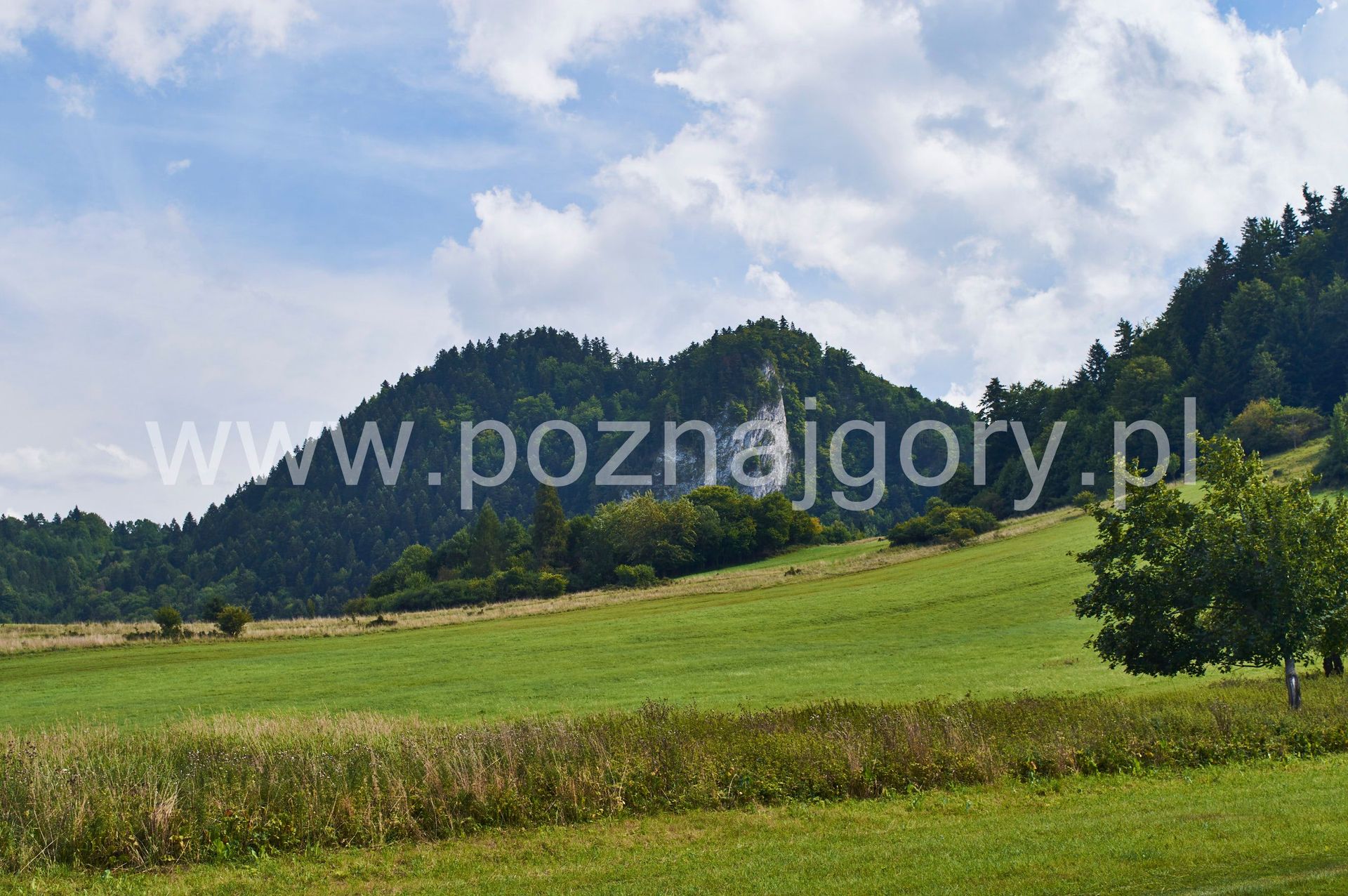 Pieniński Park Narodowy Poznaj Góry 